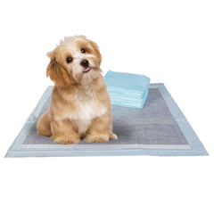 BV Charcoal Puppy Pads bulk 100-count package for training and care.