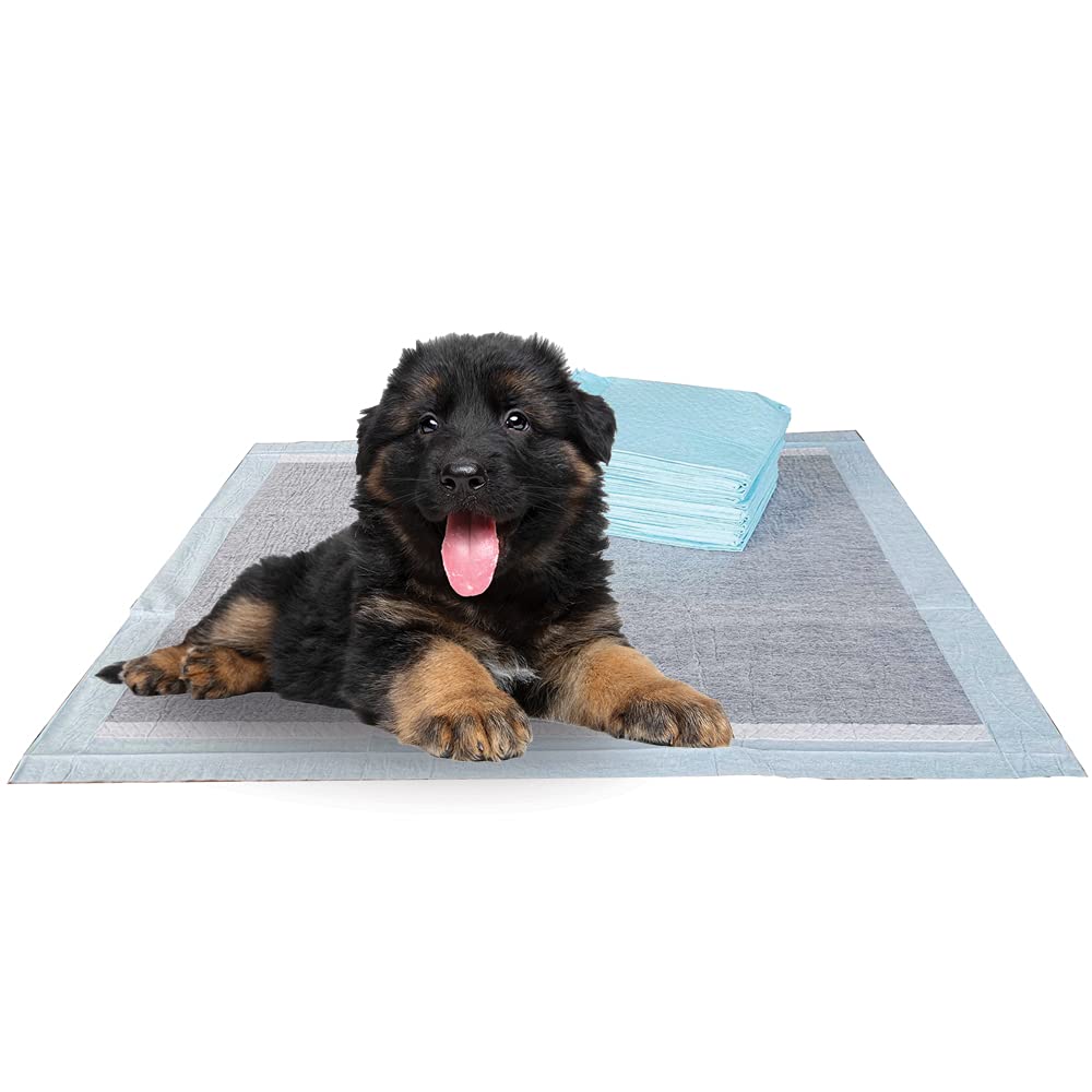 BV Charcoal Puppy Pads XL with large 34x28 inch cover for training