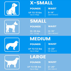 BV Dog Diapers Male Small absorbent core provides leak protection