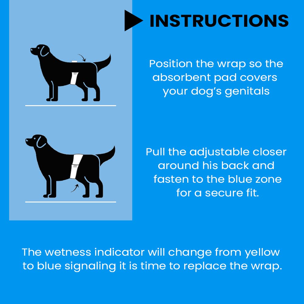 BV Dog Diapers Male XS absorbent-core delivers reliable leak protection.