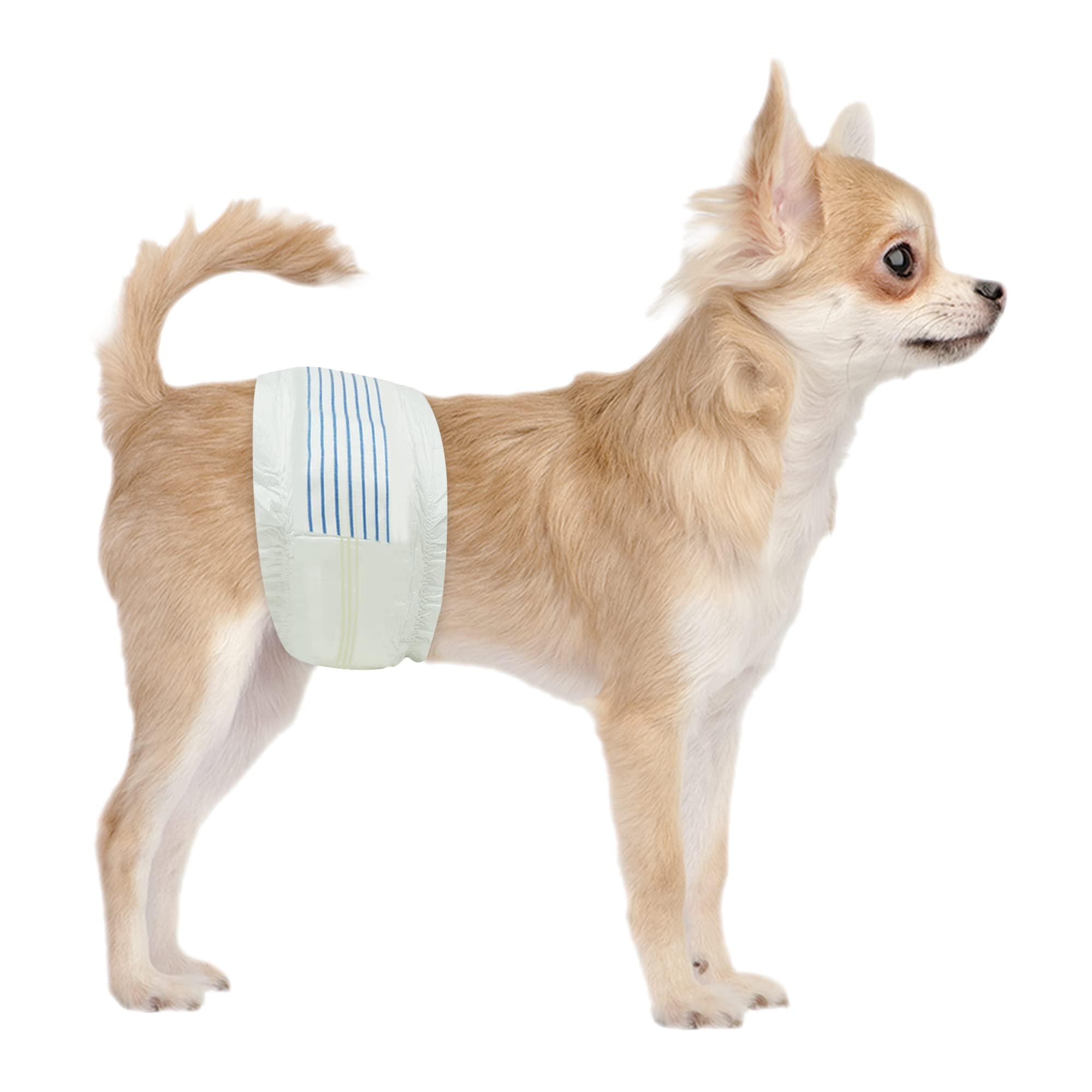 BV Dog Diapers Male XS package shows 50-count value for small dogs.