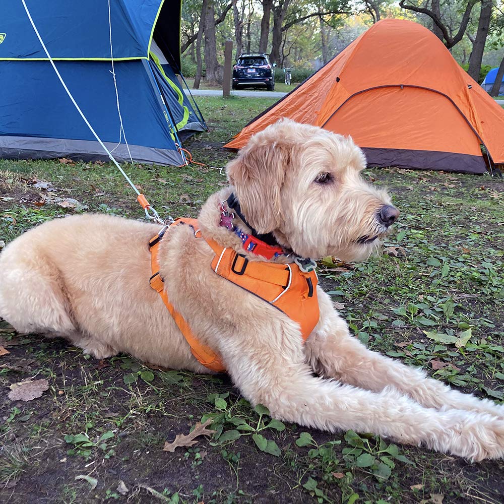 BV silver two-pack provides durable yard containment for active dogs.