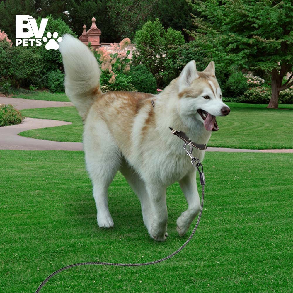 BV dog tie out cable night safety with bright reflectivity
