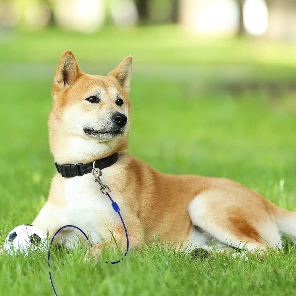 BV Dog Tie Out Cable designed for quick release and security.