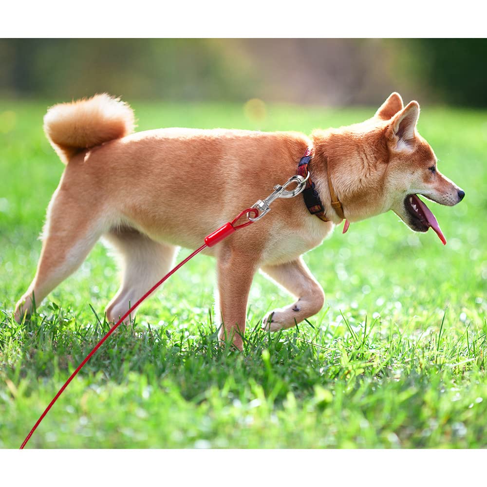 BV Dog Tie Out Night Safety enhances nighttime visibility for dogs.