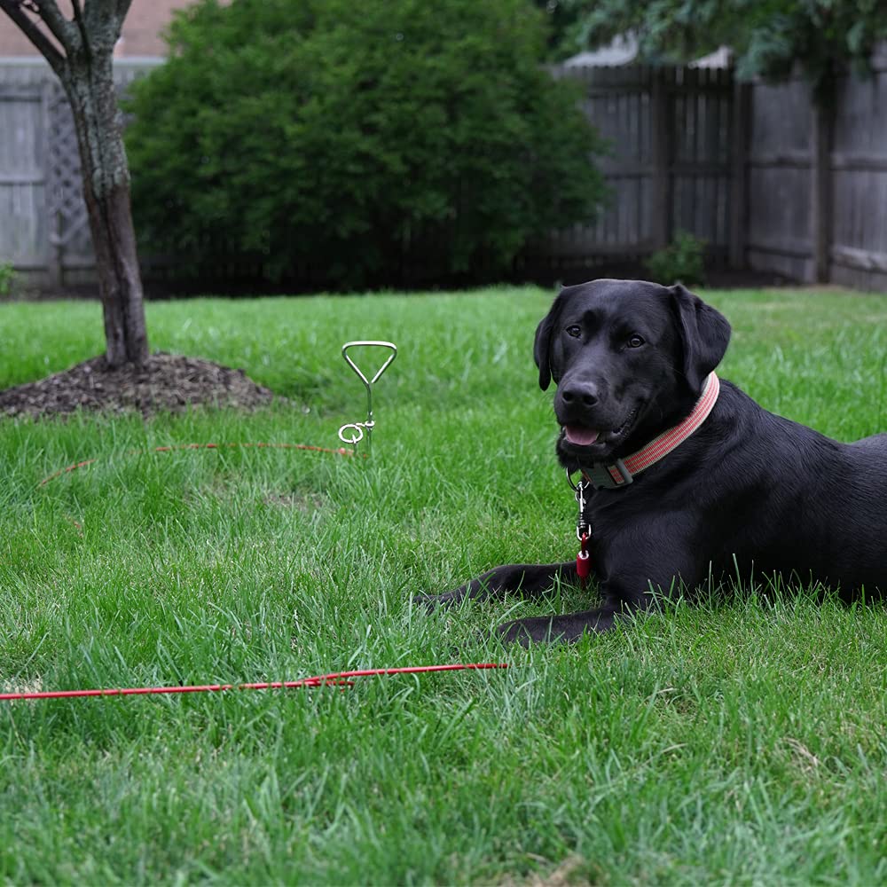BV Dog Tie Out Yard Runner design reduces tangles during play.
