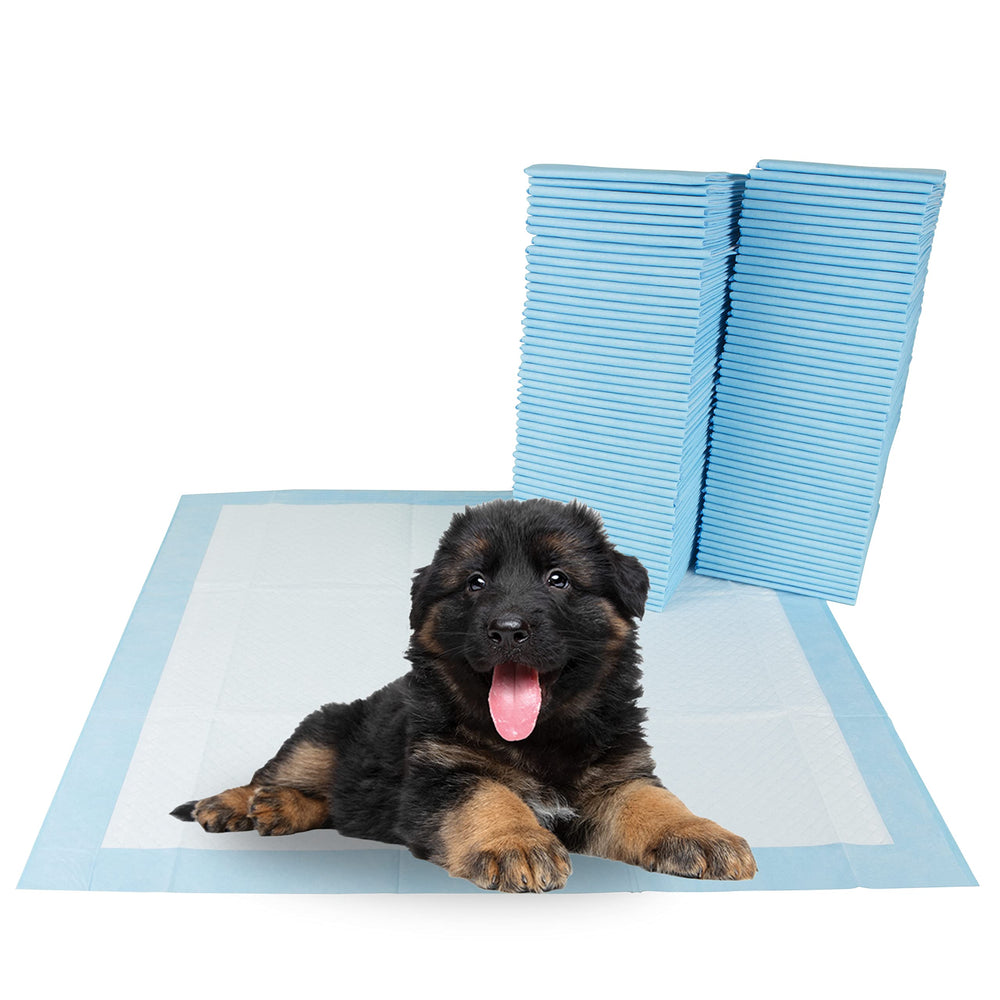 BV Puppy Pads with leak-proof six-layer design keep floors dry.