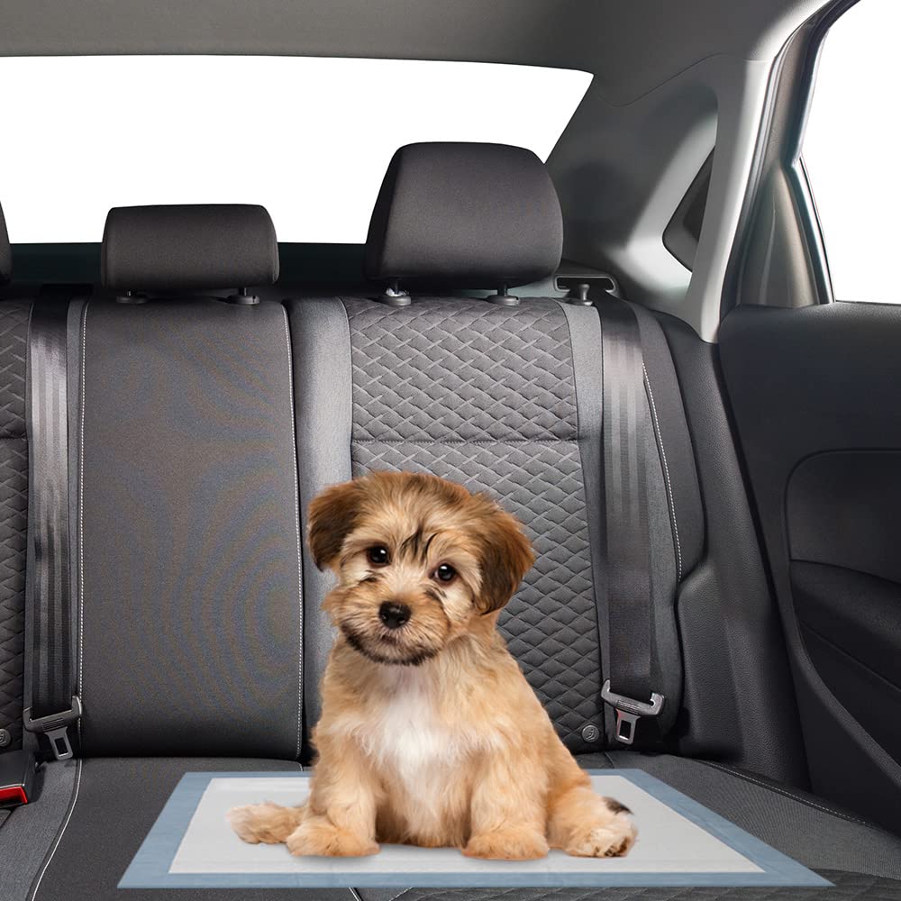 BV Puppy Pads leak-proof bottom layer protects carpets and floors.