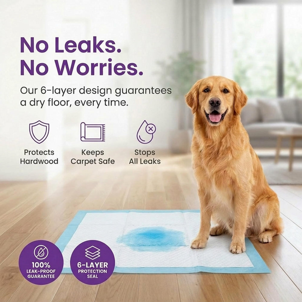 BV Puppy Pads XL absorption core locks liquid away to keep floors dry.