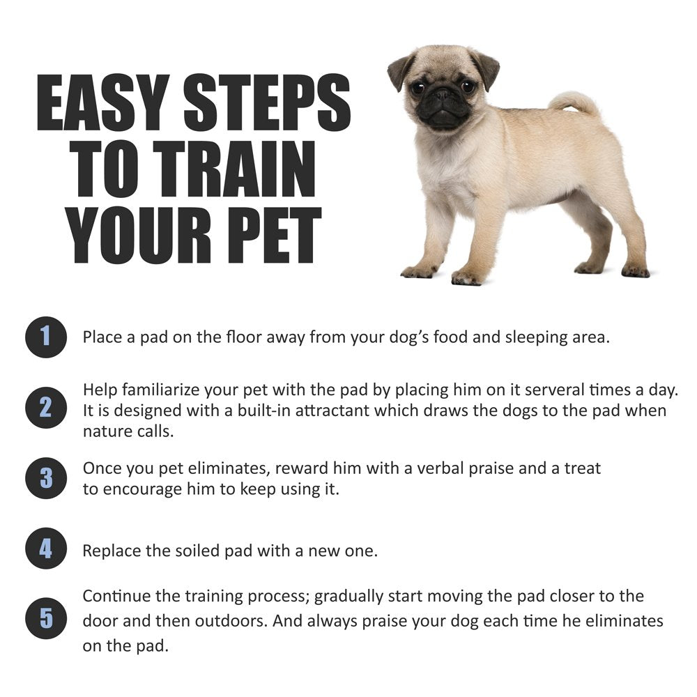 BV Puppy Pads XL leak-proof liner prevents leaks and protects floors.