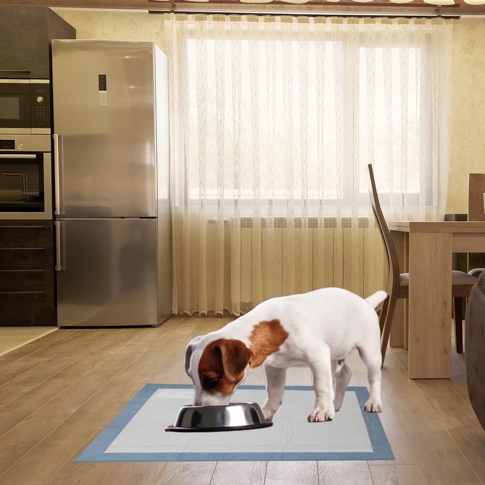 BV Puppy Pads XL pack of 20 offers ample coverage.
