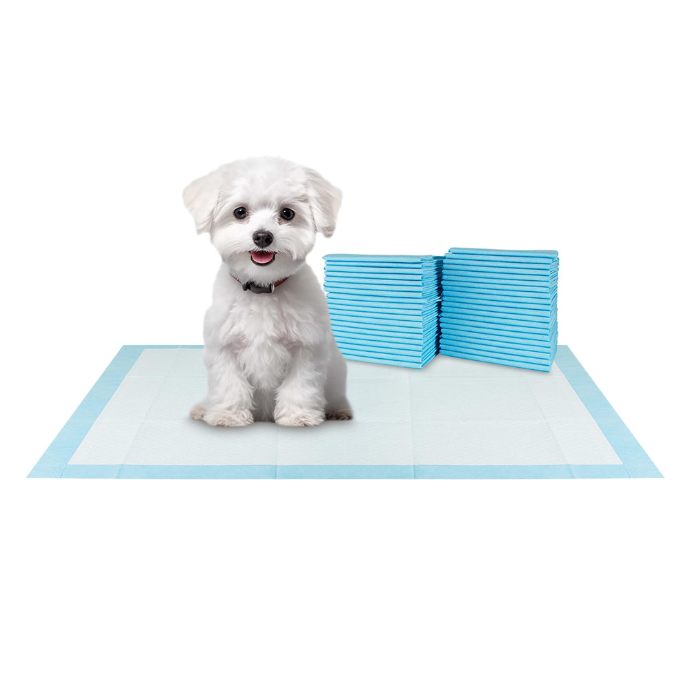 BV Small Puppy Pads 100 Count 17x24 leak-proof design protects floors during training.