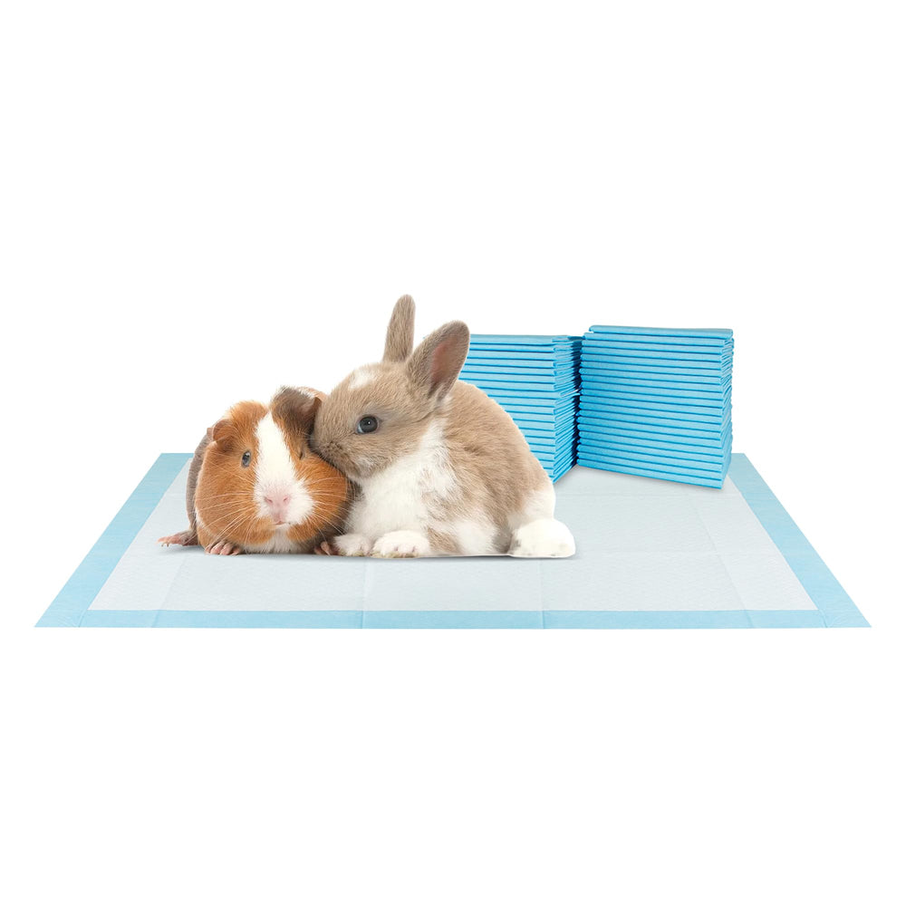 BV 100-count pads suitable for puppies, seniors, and multi-pet households.