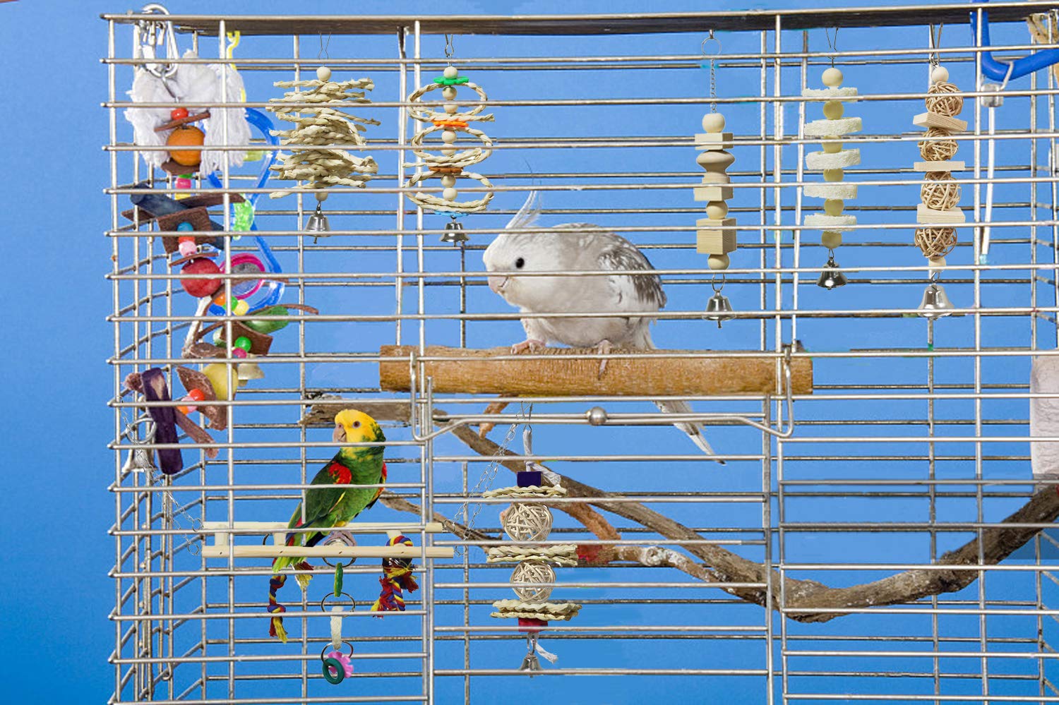 BWOGUE elevated perch on a multi piece bird toy set