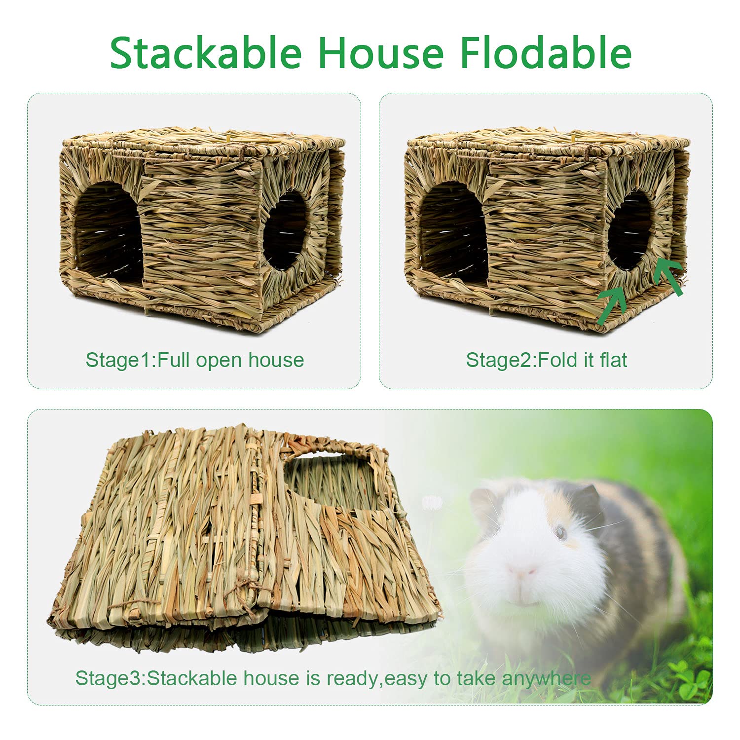 BWOGUE double openings playhouse—ample entry points for curious nibblers.