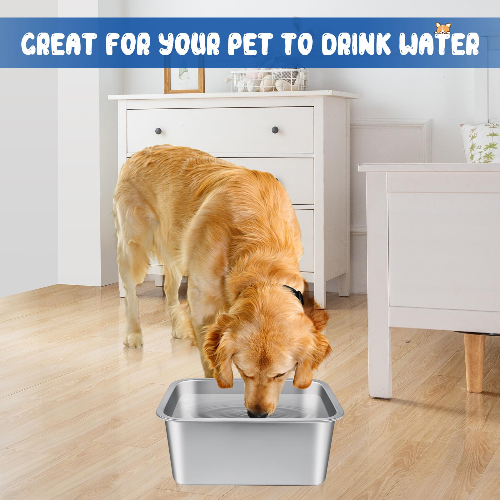 BWOGUE extra-large bowl helps keep water and food contained