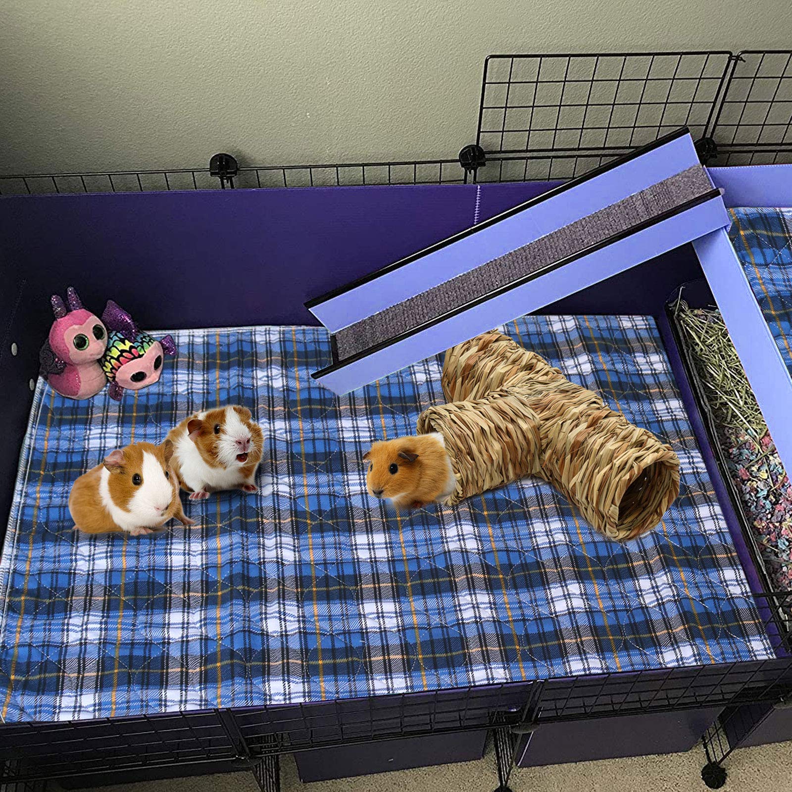 BWOGUE Grass Tunnel Nature's Hideaway invites climbing and burrowing for active pets.