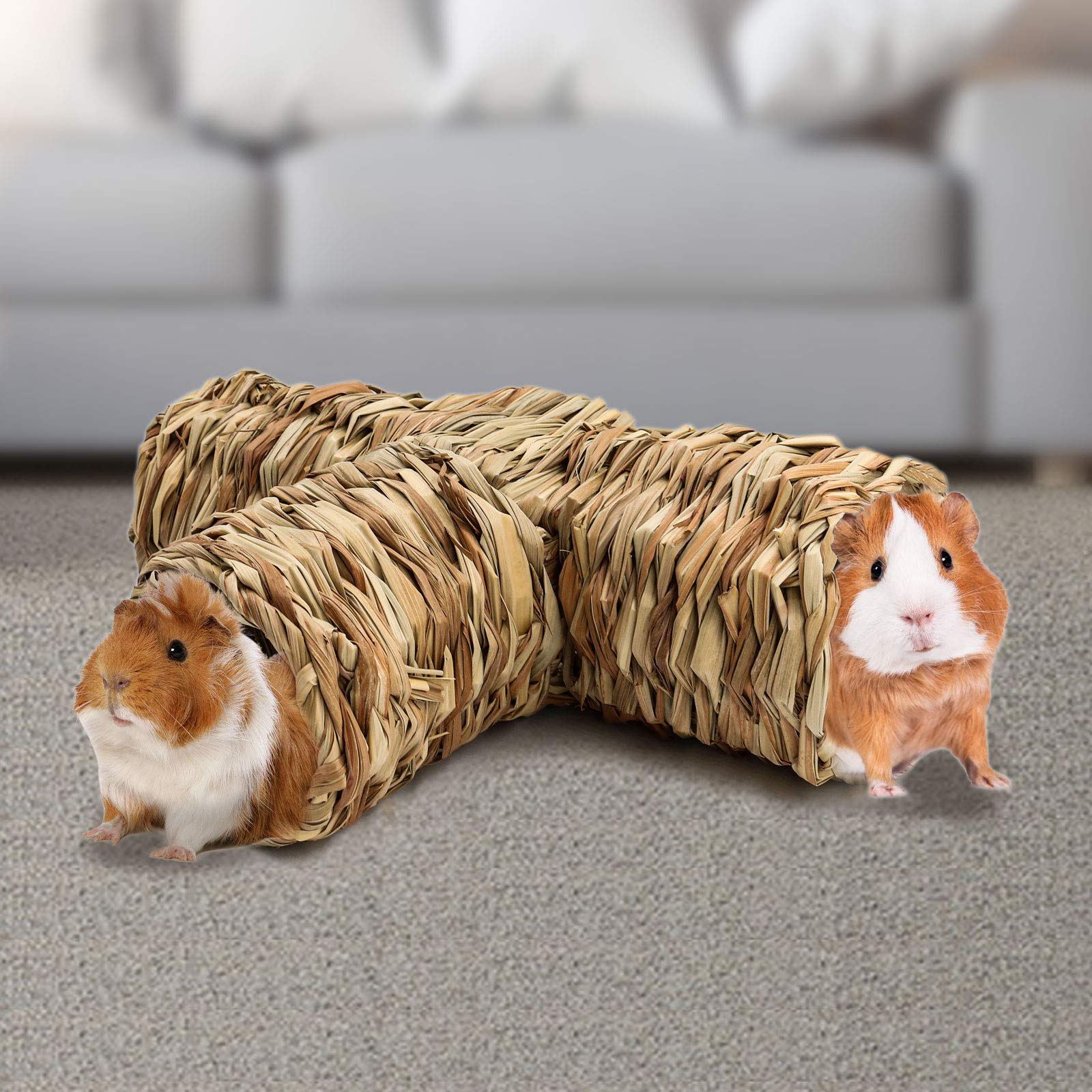 BWOGUE Grass Tunnel Nature's Hideaway promotes multi-pet exploration through multiple entrances.