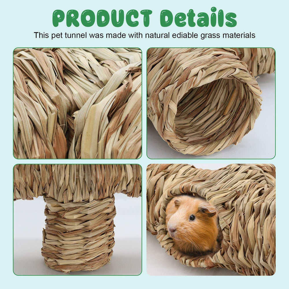 BWOGUE Grass Tunnel Nature's Hideaway showcases a nail-free, safe design for playful nibbling.