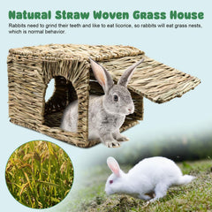 BWOGUE Mega Chew Toy from natural grass encourages safe chewing.