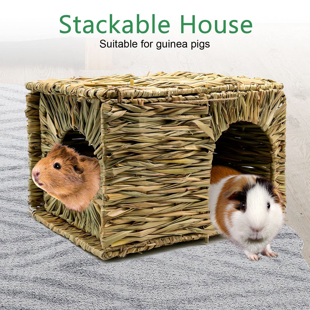 BWOGUE multipurpose play house—great for treasure hunts and foraging games.