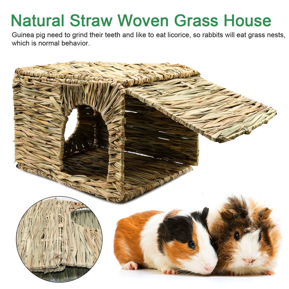 BWOGUE pet-safe durable hut—protects paws and supports safe access.