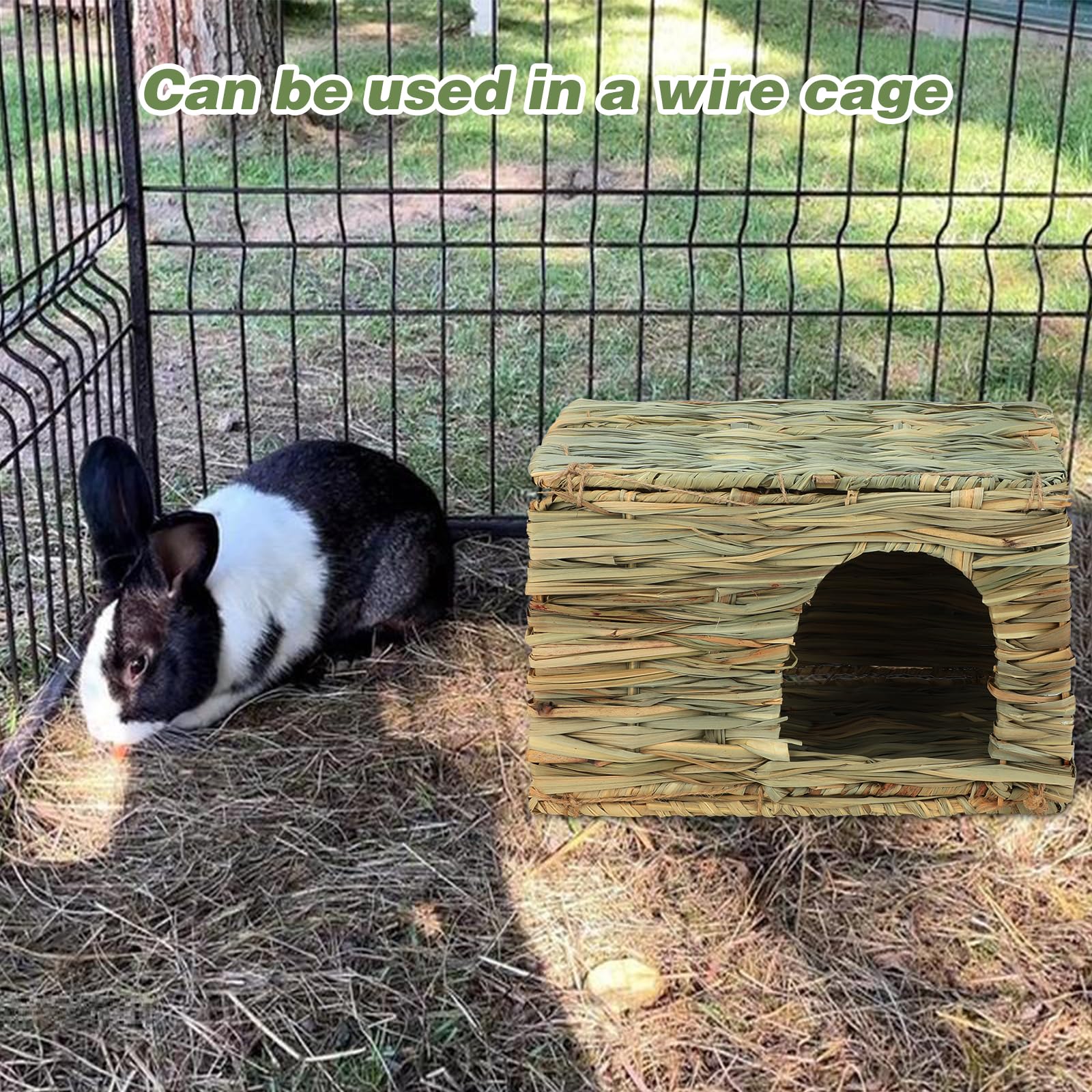 BWOGUE rabbits guinea pigs dig-and-chew setup, inviting foraging behavior.