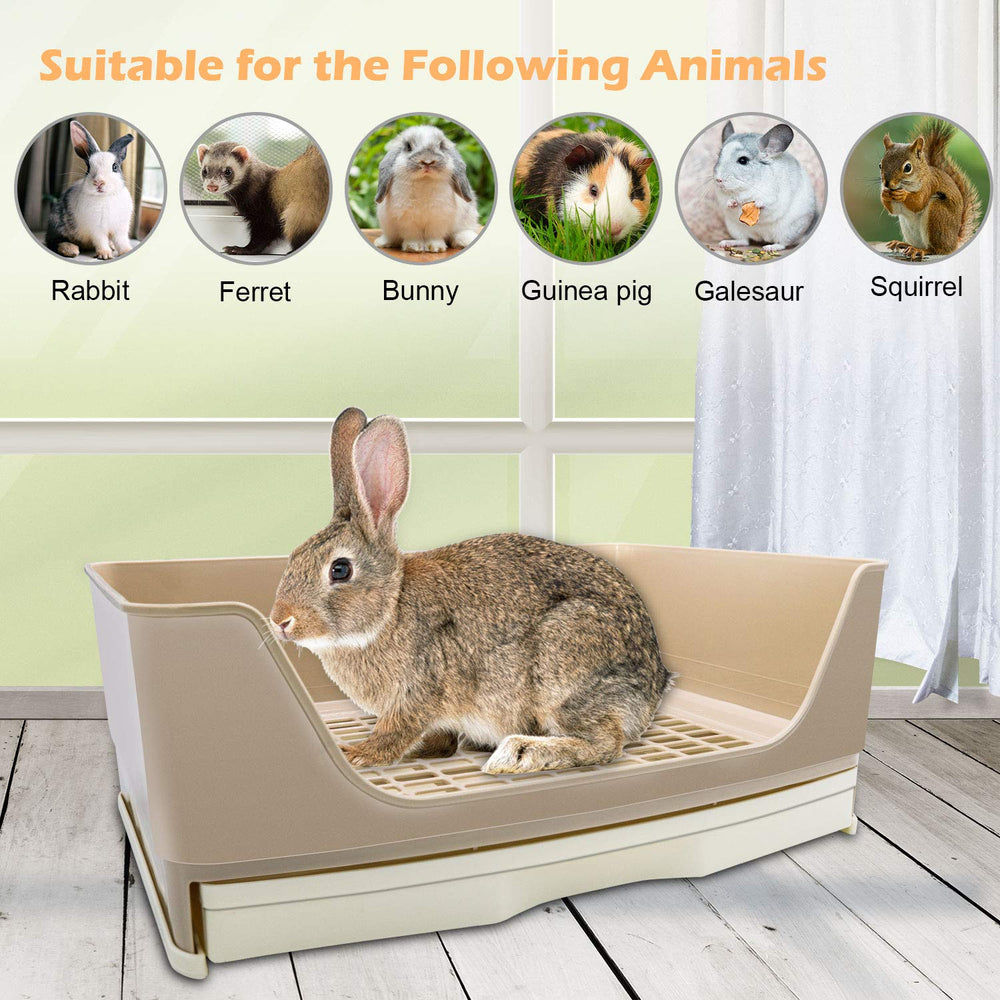 BWOGUE Reinforced Bottom and Durable Plastic stand up to active pets.