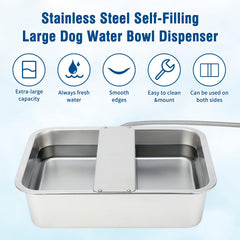BWOGUE self-filling dog waterer enables hands-free hydration