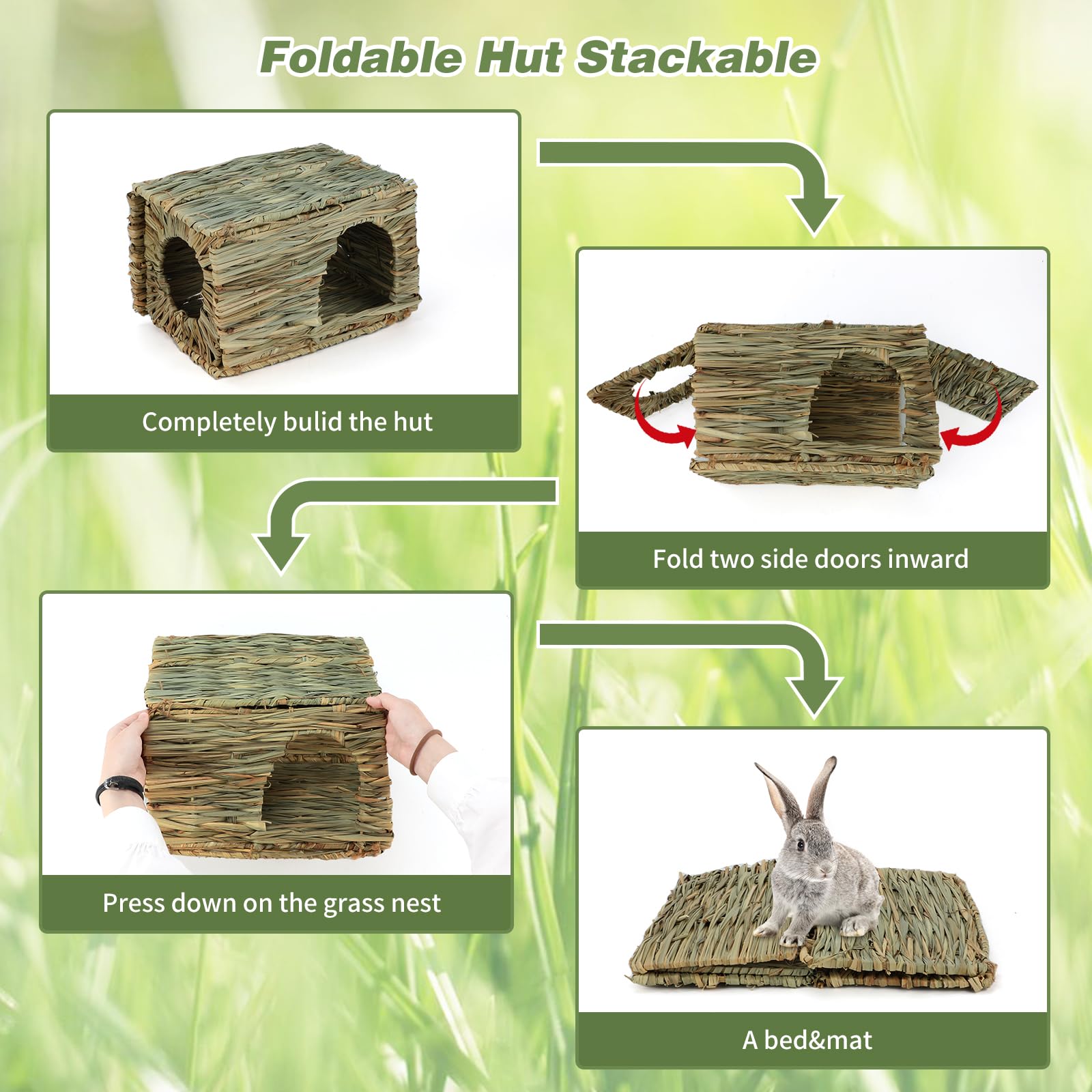 BWOGUE small animals habitat image, supports enrichment and interactive play.