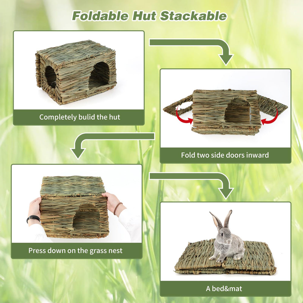 BWOGUE small animals habitat image, supports enrichment and interactive play.