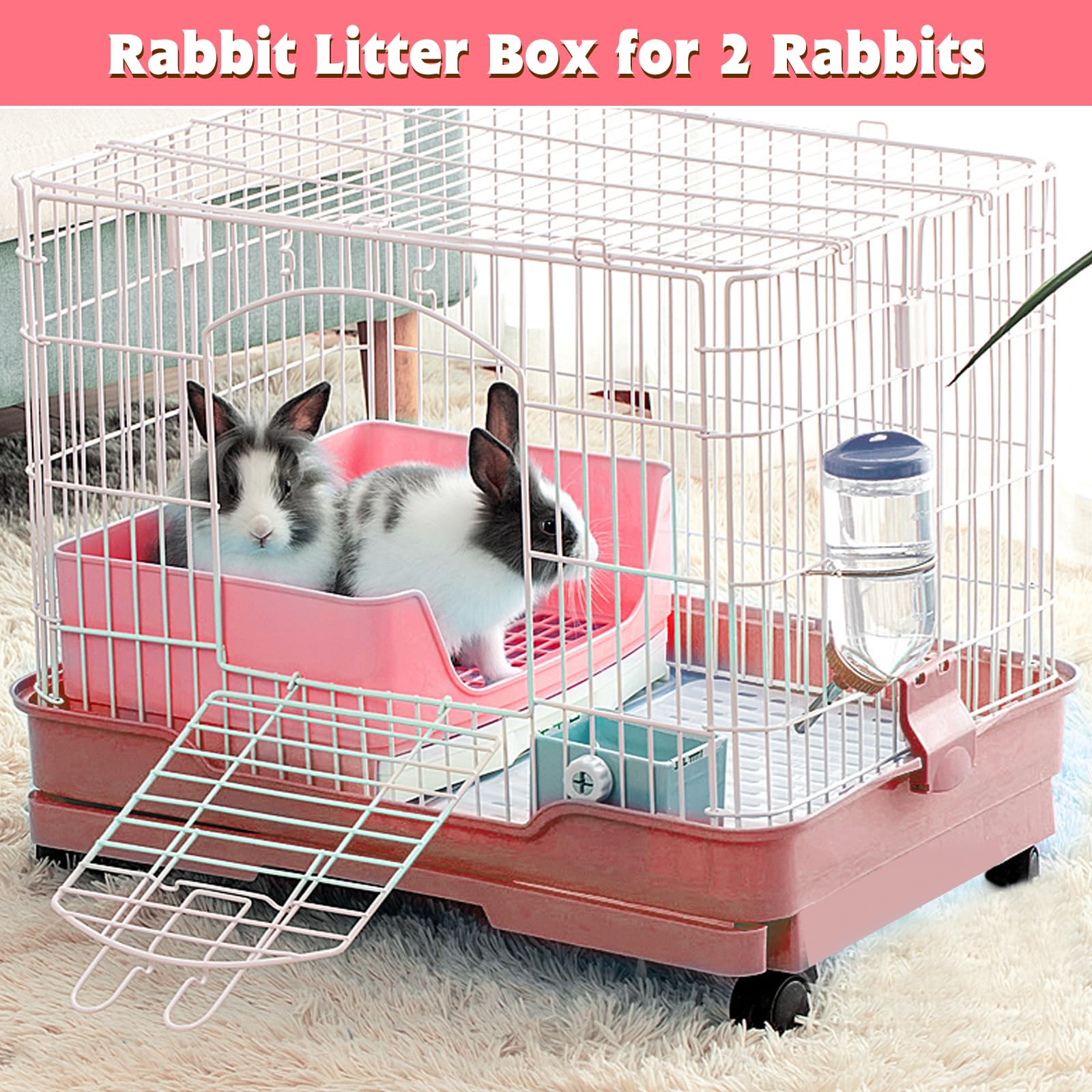 BWOGUE spacious design supports rabbits and guinea pigs with ease