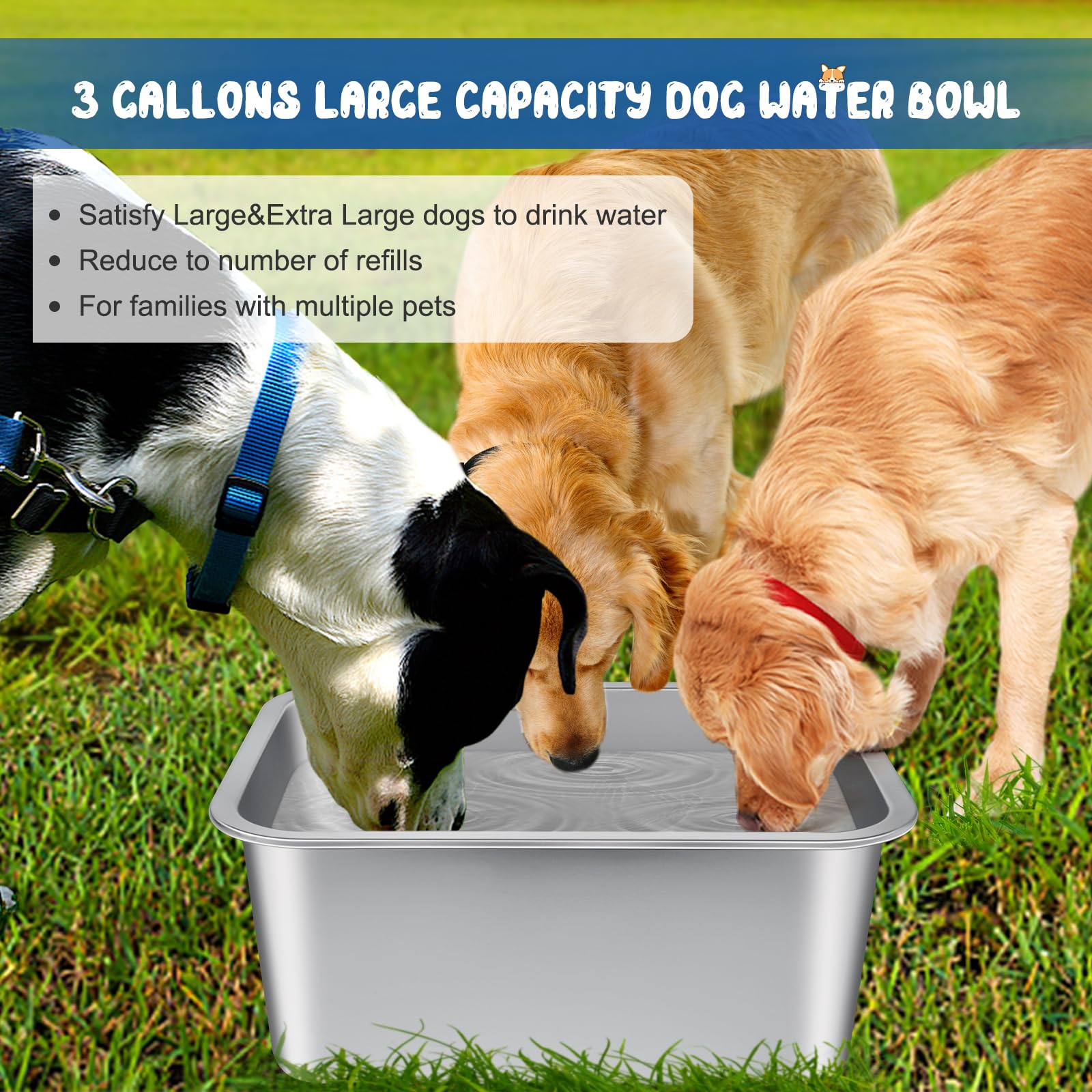 BWOGUE stainless steel dog bowl highlights rust resistance for daily use