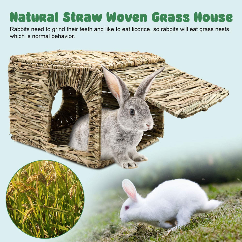 BWOGUE treasure-hunt inside grass house, stimulates exploration and treat foraging.