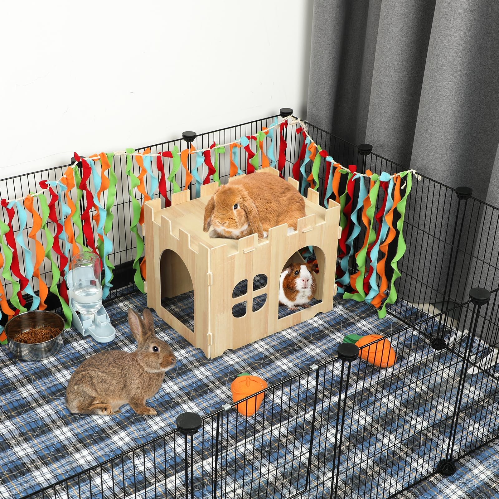 BWOGUE two-door access design provides convenient entry for pets.