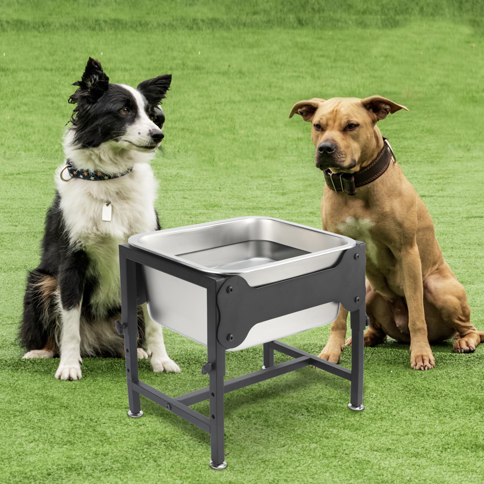 BWOGUE large-breed friendly design supports multiple dogs at once