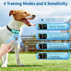 BXQ bark-detection system close-up highlighting precise sensor performance.