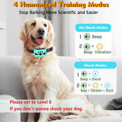 BXQ bone-shaped collar design for comfortable all-day wear