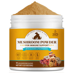 BXRUIAGN organic mushroom powder tub close-up for easy daily dosing