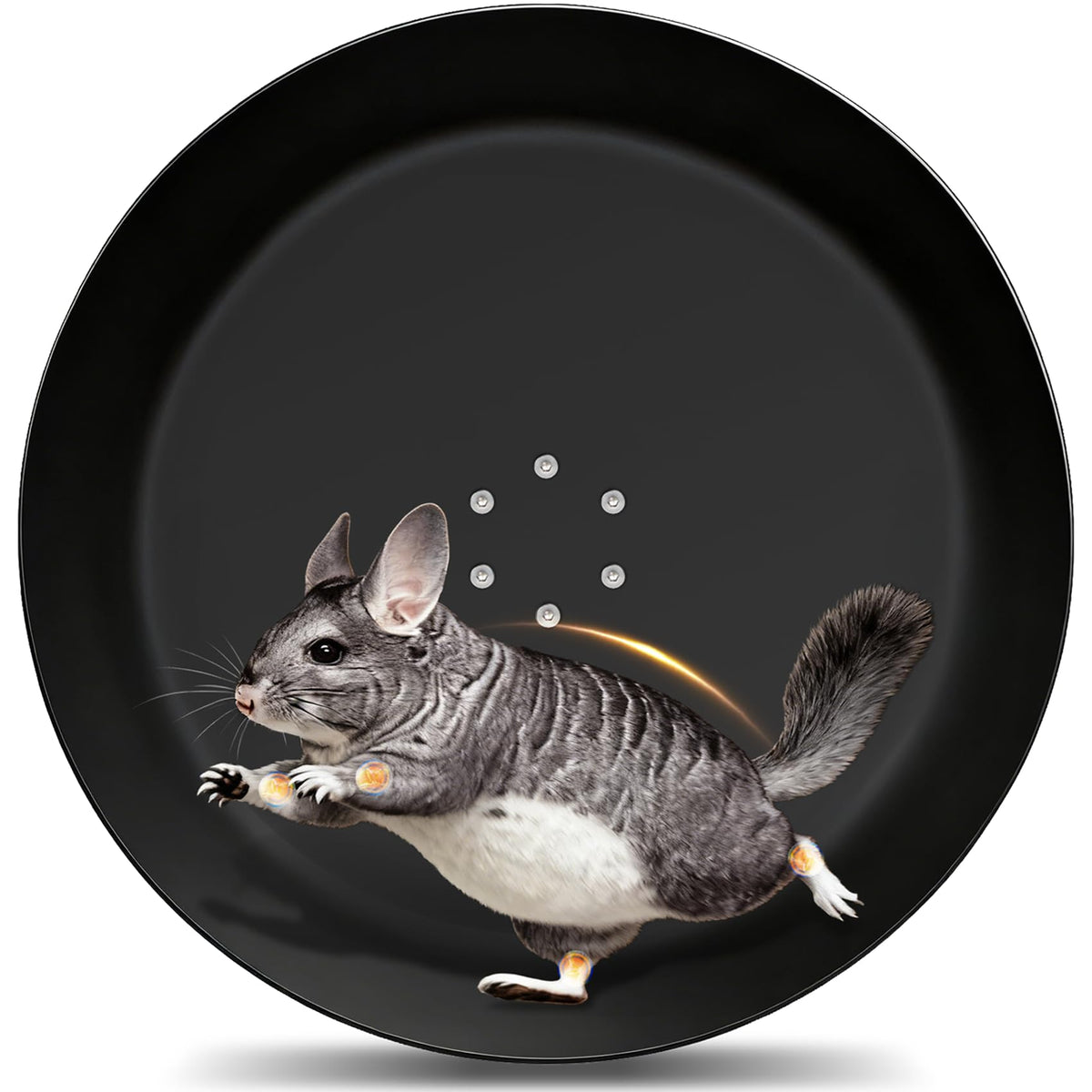 BZ SUN Enhanced 15-Inch Wheel close-up shows durable aluminum frame for long-lasting pet exercise.