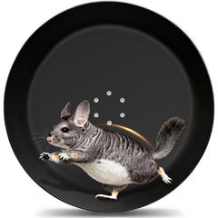 BZ SUN Enhanced 15-Inch Wheel close-up shows durable aluminum frame for long-lasting pet exercise.