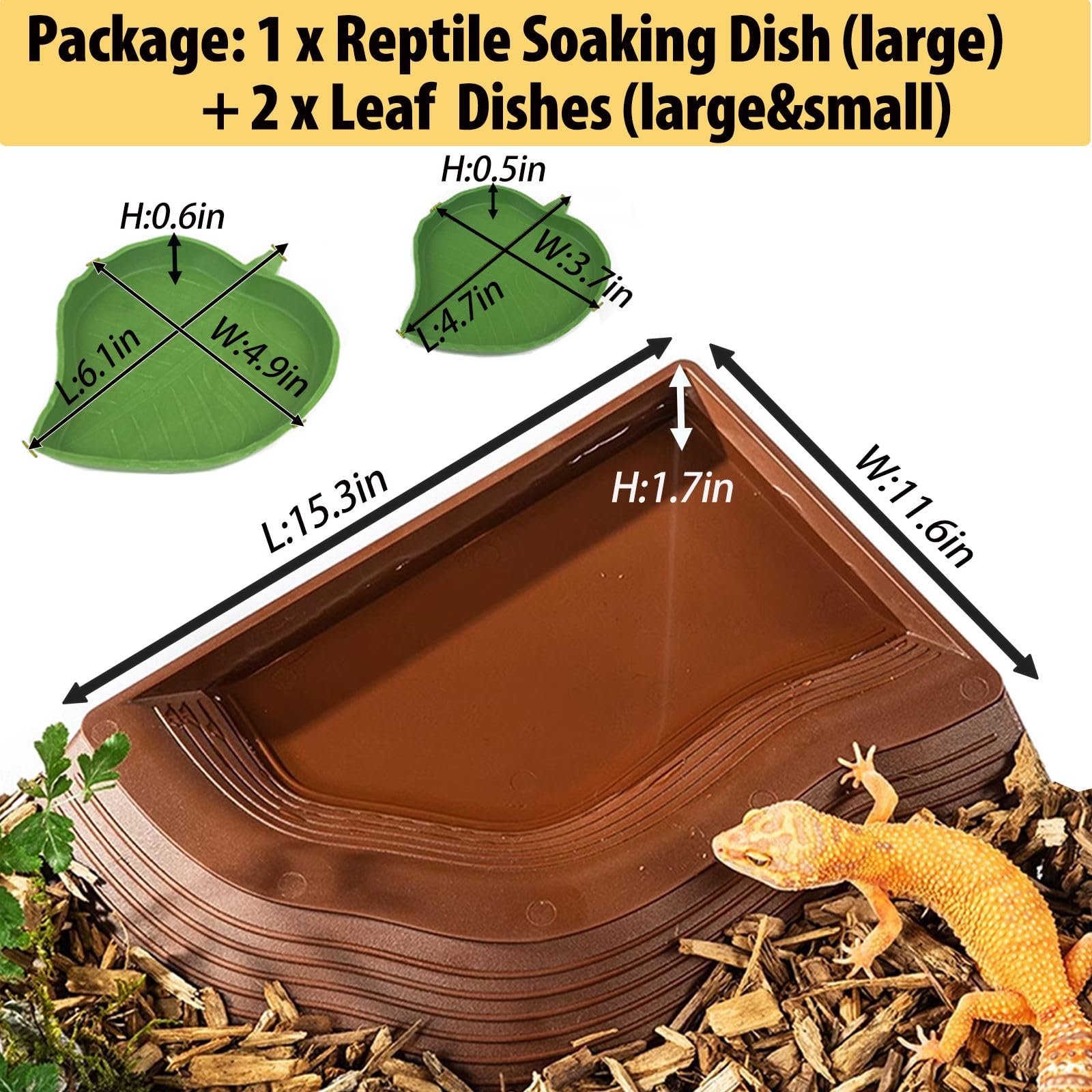 BZCWHWY detachable top dish enables water changes without disturbing décor.