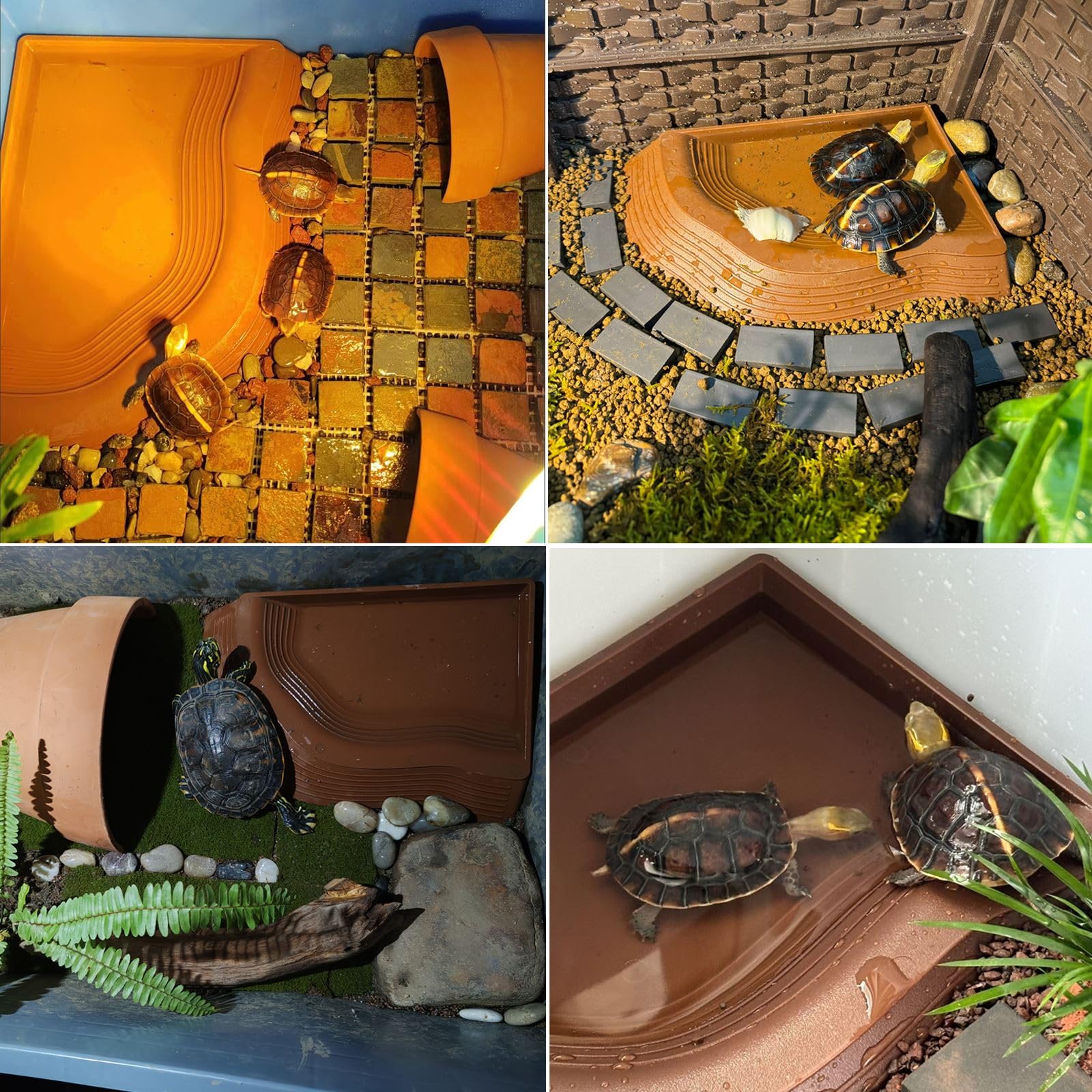 BZCWHWY right-angle corner design keeps habitat tidy and space-efficient.