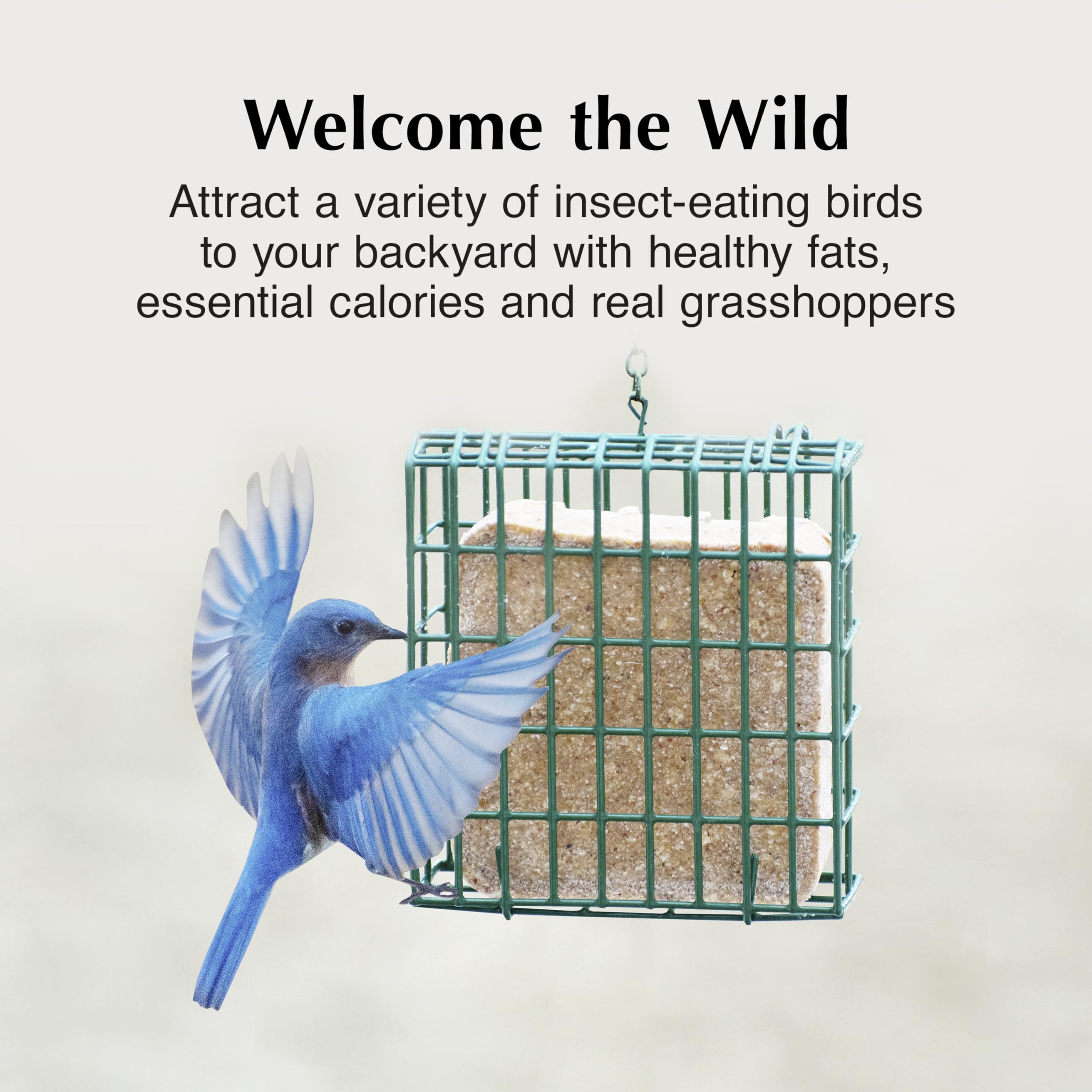 C&S Insect Delight No Melt Suet Dough contains grasshoppers and peanuts.