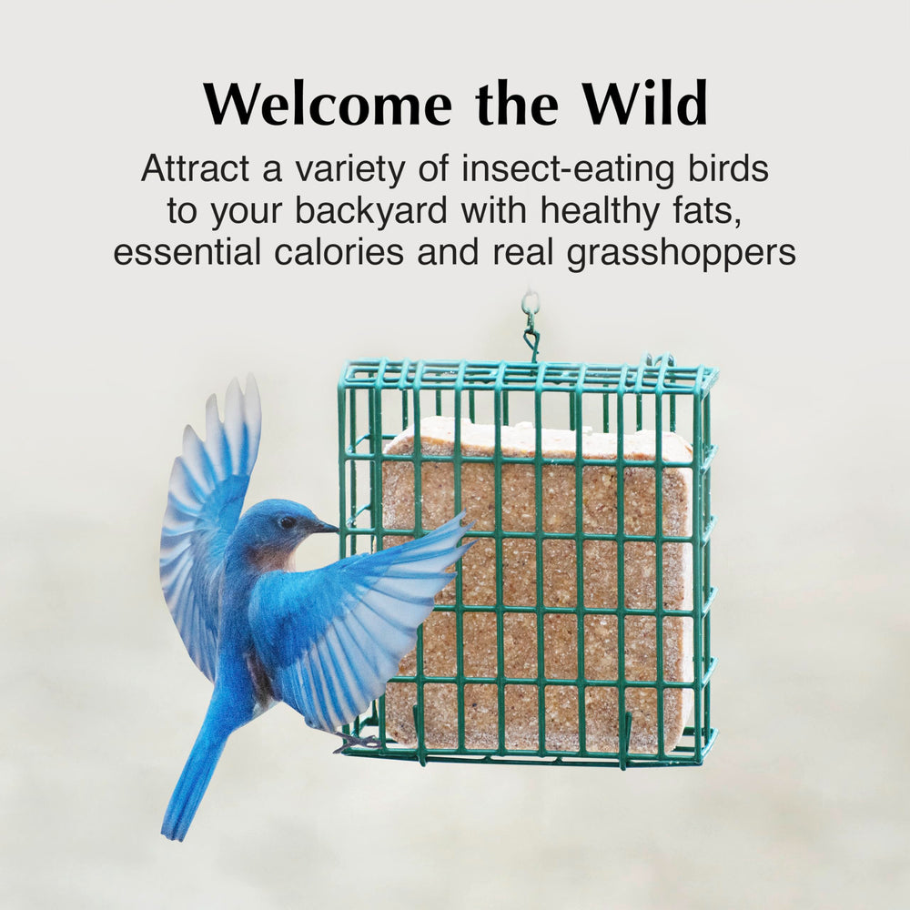C&S Insect Delight No Melt Suet Dough contains grasshoppers and peanuts.