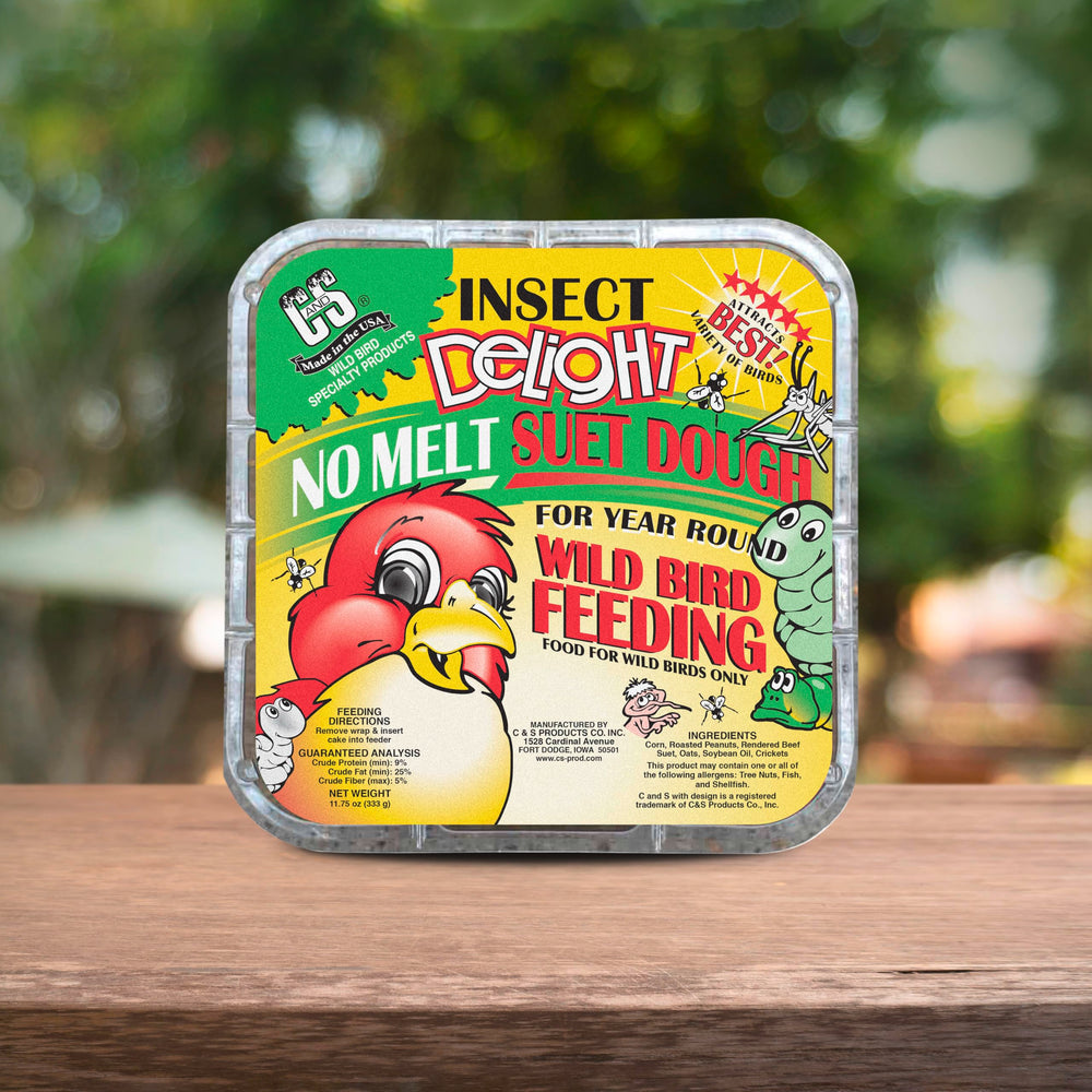 C&S Insect Delight No Melt Suet Dough prevents mess in heat.