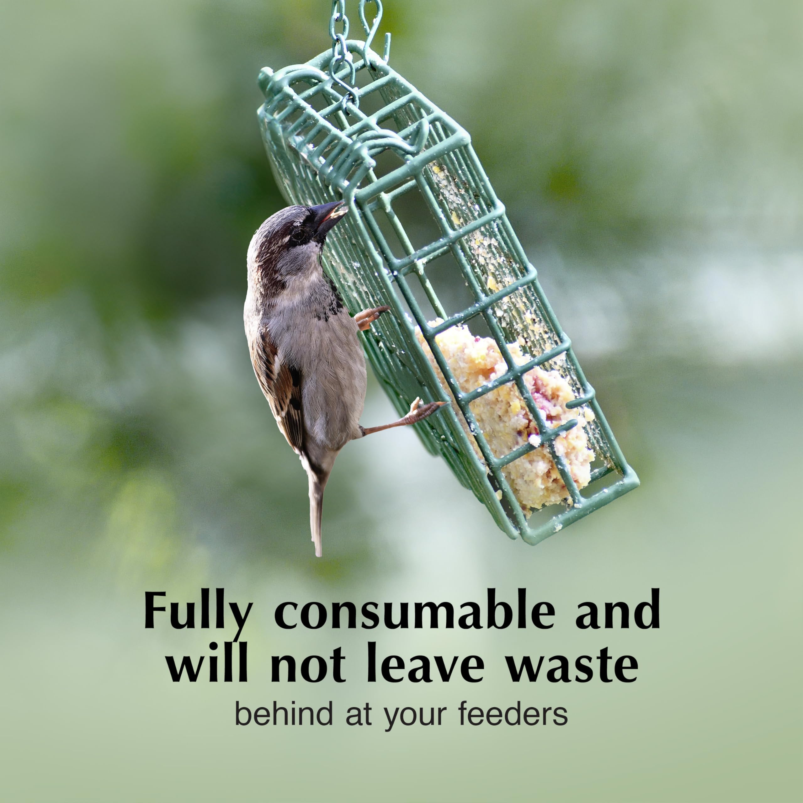 C&S Insect Delight No Melt Suet Dough attracts bluebirds and cardinals.