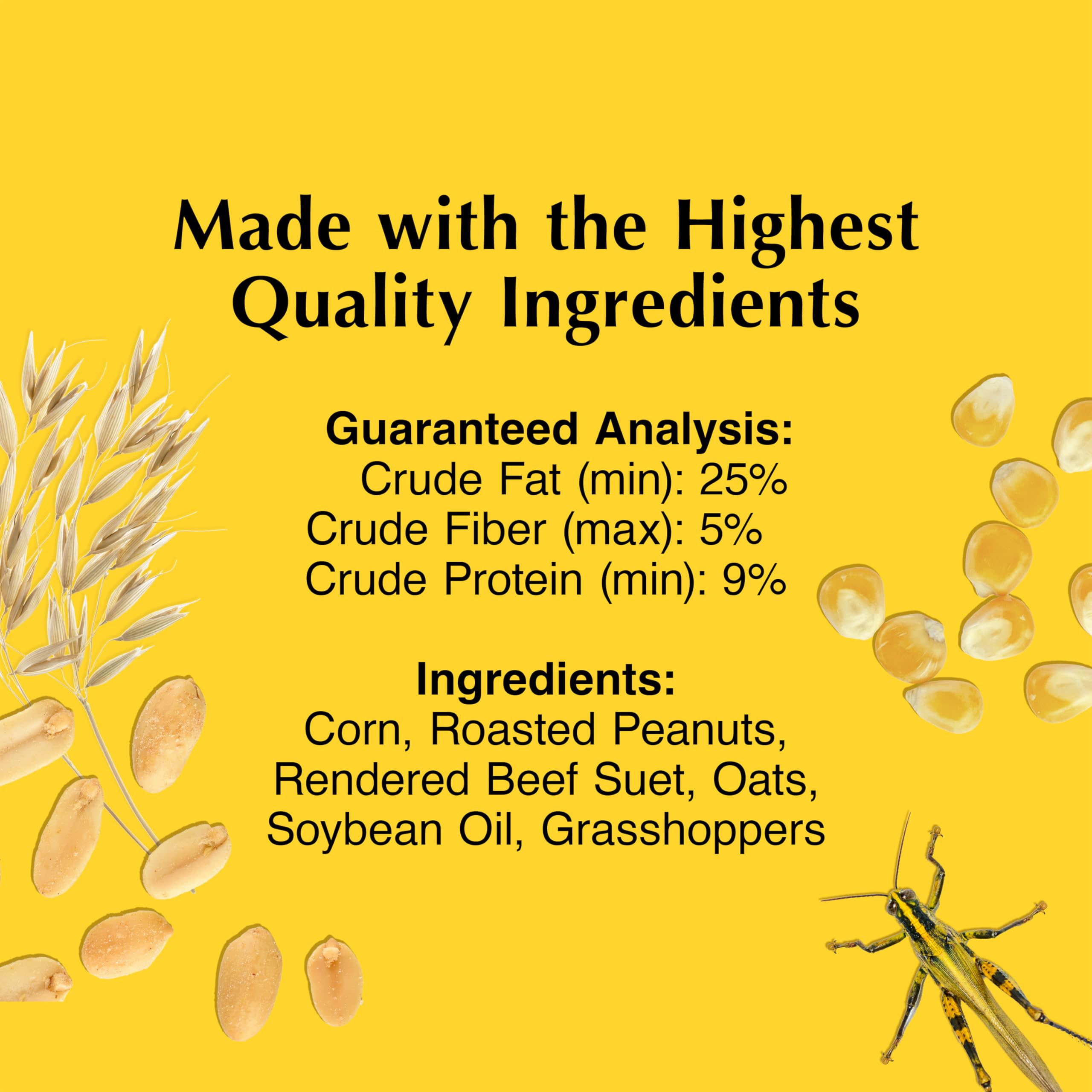 C&S Insect Delight No Melt Suet Dough soft texture for warm weather.