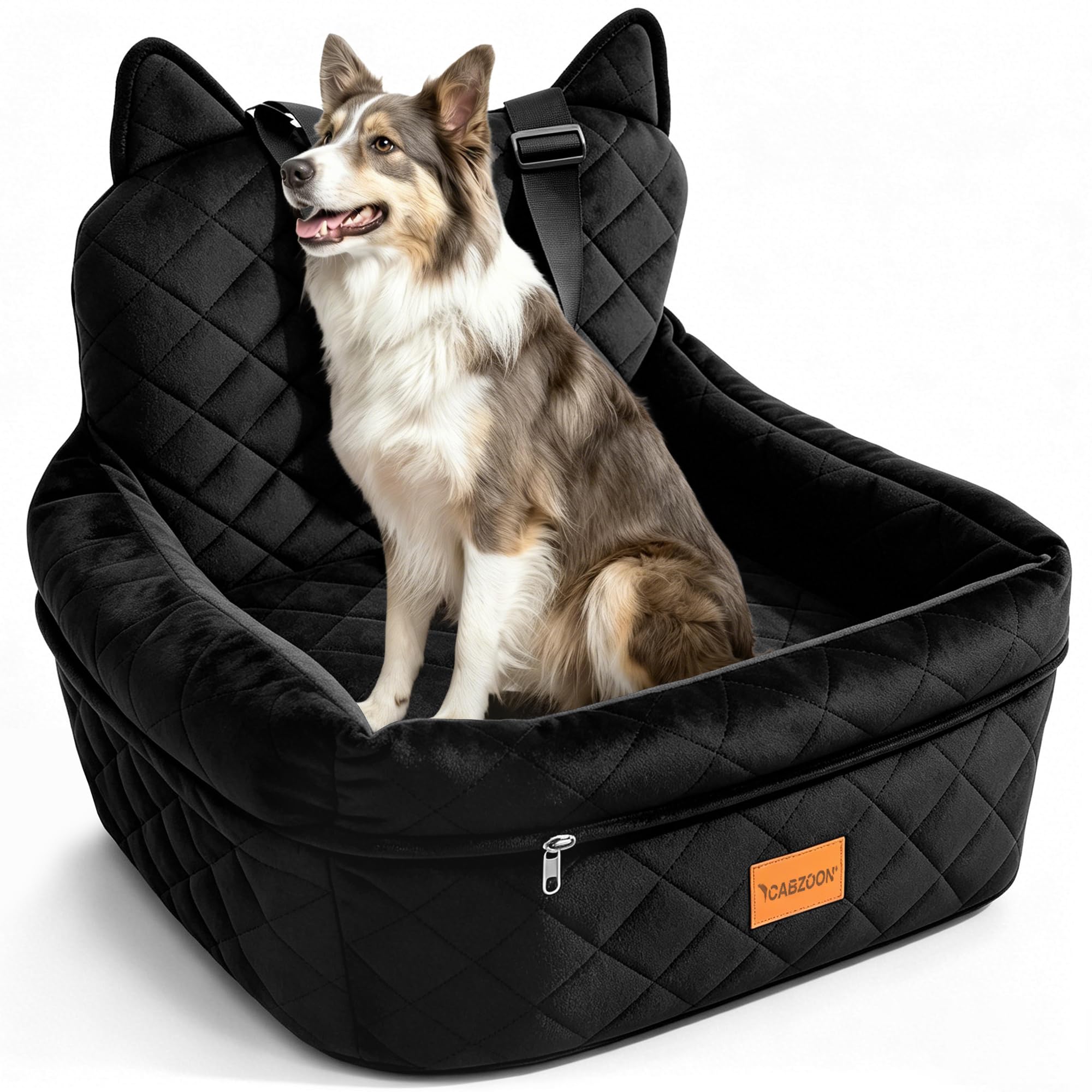 CABZOON dog booster seat front view highlighting elevated height for easier scenery viewing
