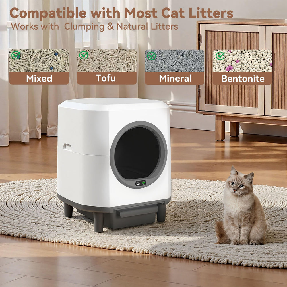 CABZOON multi-cat ready design suited for several felines.